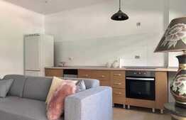 2 camere, 62 mp, parcare, terasa, gradina, zona strazii Buna Ziua