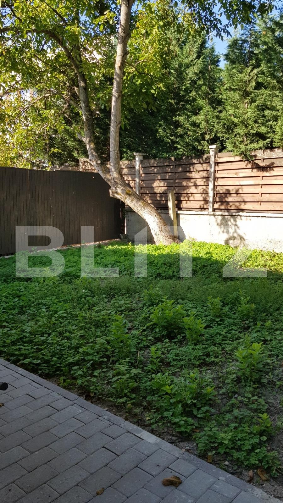 Casa de vânzare 2 camere Grigorescu - 46997CV | BLITZ Cluj-Napoca | Poza6