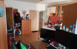 Apartament 2 camere, 42 mp, parcare, imobil nou, Flora Park