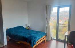 Garsoniera, 32 mp, etaj intermediar, zona Clujana