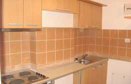 Garsoniera, 32 mp, etaj intermediar, zona Clujana