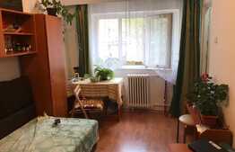 Cauti garsoniera pe etaj intermediar in zona Iulius Mall?