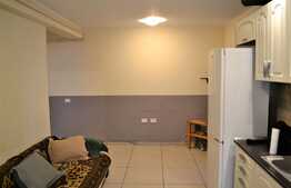 Apartament 3 camere,Pet Friendly, zona Eroilor!