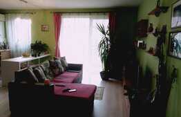 2 camere, 56 mp., spatios si luminos, zona Florilor