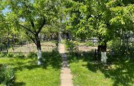 Casa individuala cu 5 apartamente, gradina superba, 240 mp utili, 604 mp teren!  Investitie!