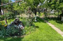 Casa individuala cu 5 apartamente, gradina superba, 240 mp utili, 604 mp teren!  Investitie!