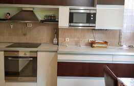 Casa individuala cu 5 apartamente, gradina superba, 240 mp utili, 604 mp teren!  Investitie!