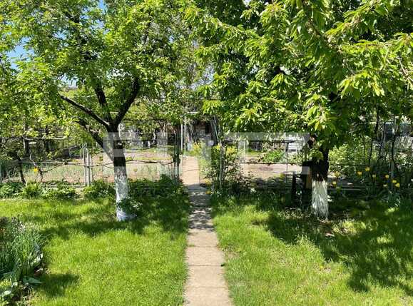 Casa de vânzare 8 camere Marasti - 47091CV | BLITZ Cluj-Napoca | Poza13