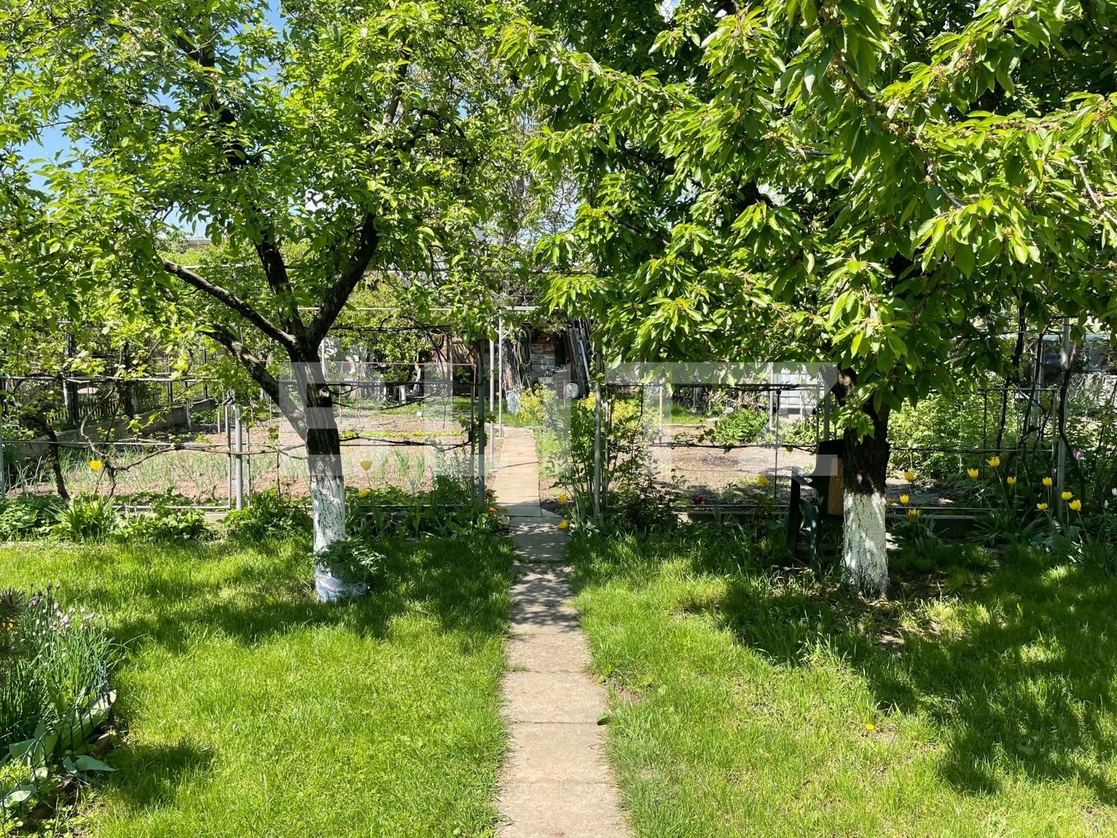 Casa de vânzare 8 camere Marasti - 47091CV | BLITZ Cluj-Napoca | Poza13