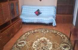 Garsoniera de 25 mp, confort 1, Manastur, preluare chiriasi