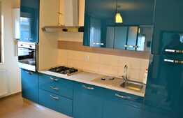 Apartament 2 camere plus nisa de dormit, nou, zona Tautiului!