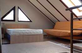 Exclusiv ! Duplex de 160 mp, teren de 350 mp, zona de case!