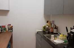 Birouri de lux, 210 mp, 8 locuri de parcare incluse, zona excelenta