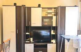 Apartament 1 camera, 40  mp, zona strazii Titulescu