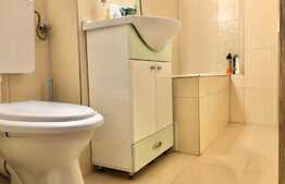 Apartament 1 camera, 40  mp, zona strazii Titulescu