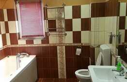 Casa individuala, 280 mp utili, 300 mp teren, zona Gradina Botanica