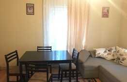 Apartament 2 camere, 45 mp, zona strazii Mircea Eliade