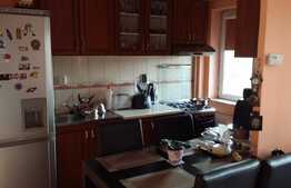 Apartament 2 camere, 48 mp, zona strazii Plevnei