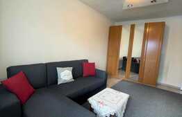 Apartament 2 camere, decomandat, 52mp,  recent renovat, zona Piata Flora