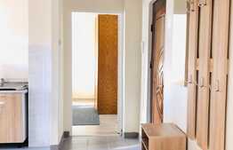 Apartament 2 camere, decomandat, 52mp,  recent renovat, zona Piata Flora