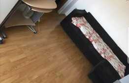 Oferta lunii Decembrie!