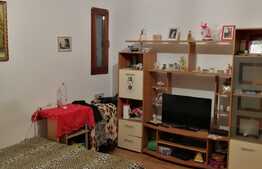 Casa individuala cu teren ce dispune de o suprafata generoasa