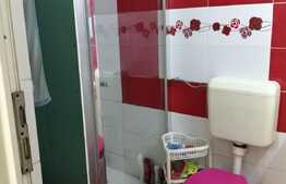 Casa individuala cu teren ce dispune de o suprafata generoasa