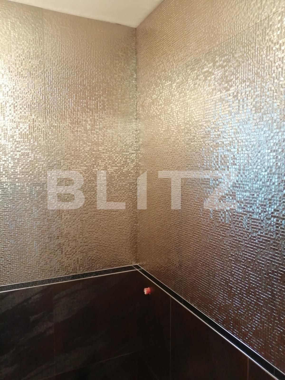 Casa de vânzare 4 camere Baciu - 47204CV | BLITZ Cluj-Napoca | Poza16