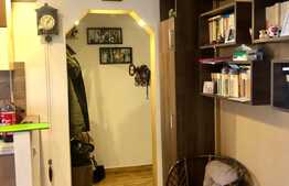 Apartament 2 camere, 54 mp, mobilat si utilat lux, zona Complex Mercur