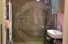 Apartament cu o camera, pet friendly, Piata Mihai Viteazu! 