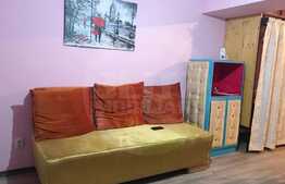 Apartament cu o camera, pet friendly, Piata Mihai Viteazu! 