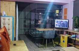 Apartament cu o camera, pet friendly, Piata Mihai Viteazu! 