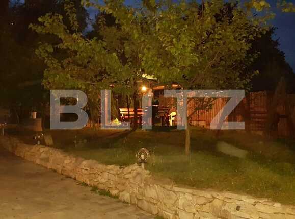 Casa de vânzare 7 camere Exterior Sud - 47226CV | BLITZ Cluj-Napoca | Poza12