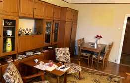 Apartament spatios, etaj intermediar, garaj, panorama ...