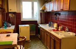 Apartament spatios, etaj intermediar, garaj, panorama ...