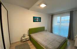 Apartament 2 camere, 50 mp, garaj, imobil nou, zona strazii Corneliu Coposu