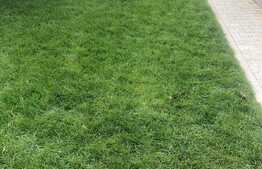 Duplex nou, finisaje de lux! Zona de case!