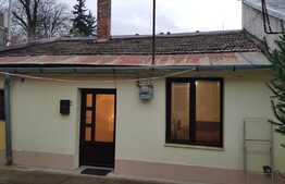 Oportunitate de investitie! Casa renovata cu 2 camere in zona centrala