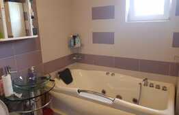 Apartament modern pe 2 nivele, 136 mp, zona strazii Ioan Rus!