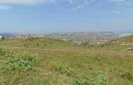 Teren de 1400 mp, 22 ml front, zona La Doi Pasi, Dezmir