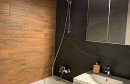 Apartament cu finisaje de lux, 55 mp, terasa, zona Iulius Mall