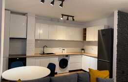 Apartament cu finisaje de lux, 55 mp, terasa, zona Iulius Mall