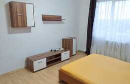 2 camere, 40 mp, pet friendly, zona P-ta Hermes