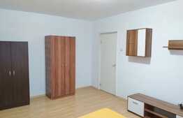 2 camere, 40 mp, pet friendly, zona P-ta Hermes