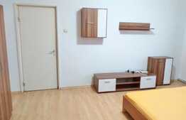 2 camere, 40 mp, pet friendly, zona P-ta Hermes