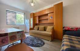 Garsoniera 25 mp, recent renovata, zona Casa Piratilor