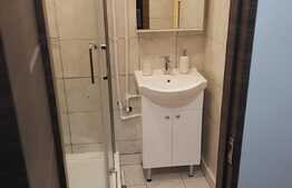 Garsoniera 25 mp, recent renovata, zona Casa Piratilor