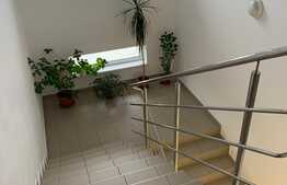 Hala clasa A+ cladire de birouri