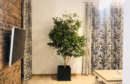 3 camere, 65 mp, prima inchiriere, zona strazii Campului