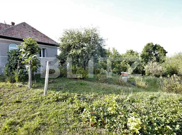 Casa de vânzare 2 camere Feleacu - 47360CV | BLITZ Cluj-Napoca | Poza3